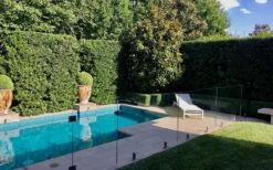 Bay Laurel (Sweet Bay) - Laurus Nobilis - 2 Gallon Pot 13 Bay Laurel (Sweet Bay) - Laurus Nobilis - 2 Gallon Pot -Garden Plants Bay Laurel 7 1