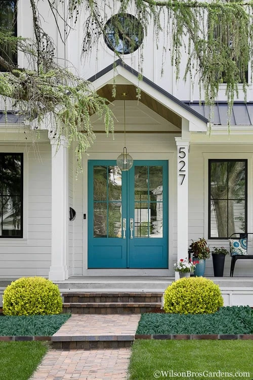 Golden Triumph Variegated Dwarf Boxwood - 3 Gallon Pot 5 Golden Triumph Variegated Dwarf Boxwood - 3 Gallon Pot - Image 5