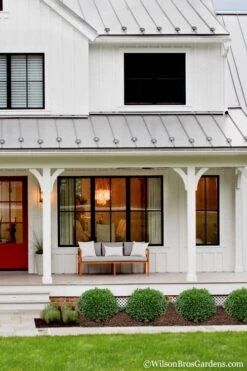 Korean Dwarf Boxwood - Buxus Sinica Var. Insularis 'Nana' - 1 Gallon Pot -Garden Plants Boxwood Korean Dwarf Insularis Nana 4 1