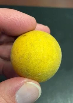 Flying Dragon Hardy Orange Tree - 3 Gallon Pot -Garden Plants Orange Flying Dragon 6