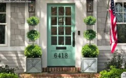 Green Mountain Boxwood 3-Ball Poodle Tier Topiary - 6 Gallon Pot 7 Green Mountain Boxwood 3-Ball Poodle Tier Topiary - 6 Gallon Pot -Garden Plants buxus green mountain 3 ball topiary 20