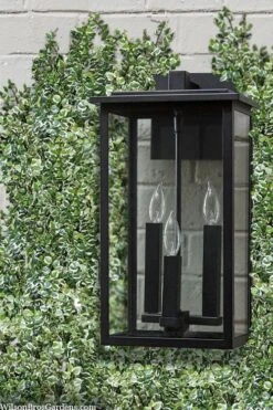 Variegated Creeping Fig (Ficus Pumila 'Variegata') - 10 Pack Of 4" Pint Pots -Garden Plants ficus pumila variegata creeping fig 102