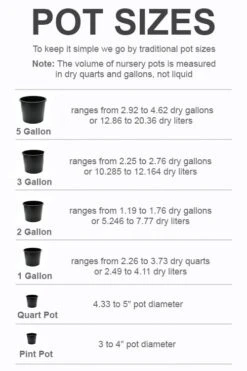 Garden Plants -Garden Plants pot size chart 2022 751